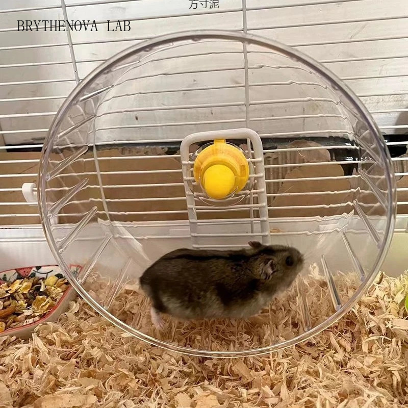 Hamster Cage Wheel - Hamster Running Wheel with Stand Clear