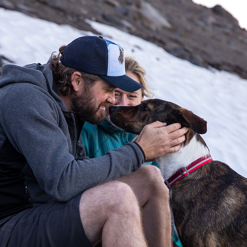Ruffwear Reflective Dog Collar - Pet Supplies For Less review and price