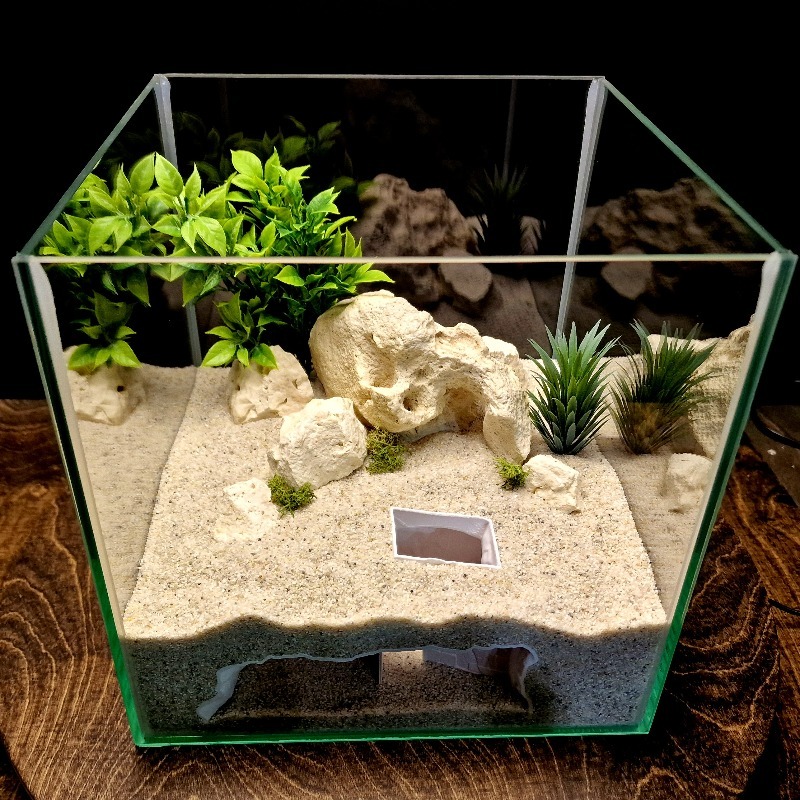 3D Printed Secret House Fish T - Pet Supplies Fish review and price