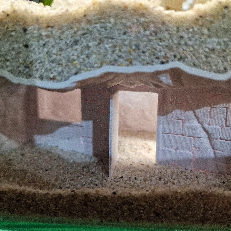 3D Printed Secret House Fish T - Pet Supplies Fish review and price