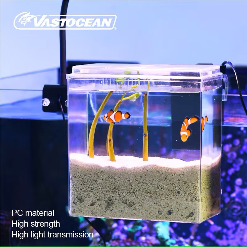 VASTOCEAN Fish Tank External F - Pet Supplies Fish review and price