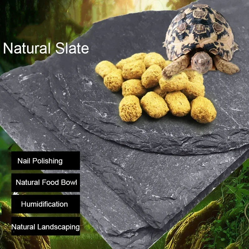 Natural Slate Aquarium Pet Rep - Pet Supplies Fish review and price