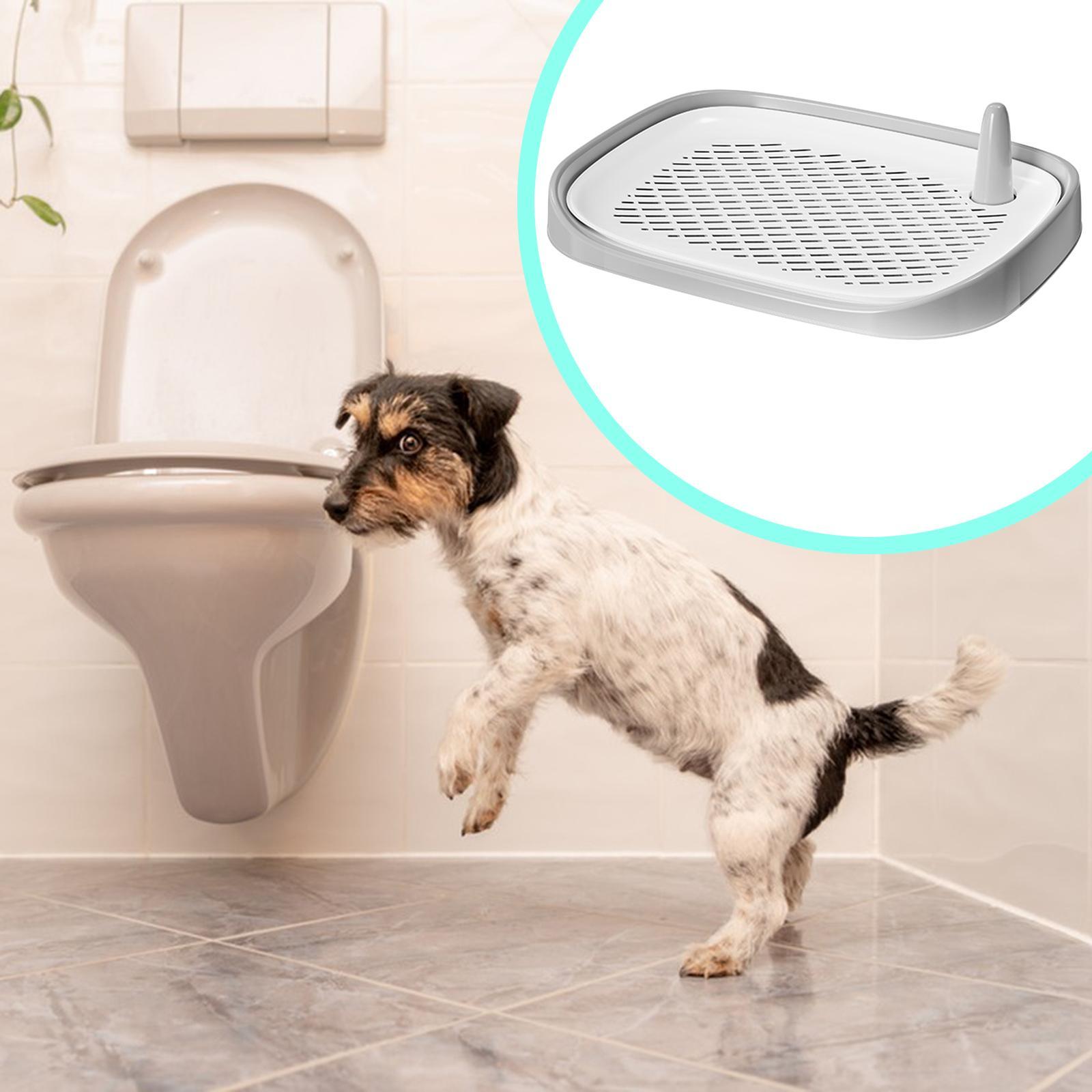 Dog Litter Box Pet Supplies Tr - Pet Supplies For Less review and price