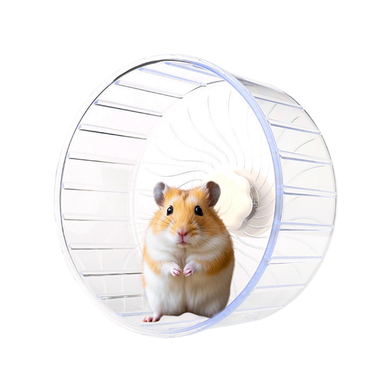 Hamster Running Sport Transpar - Hamster Cage Wheel review and price
