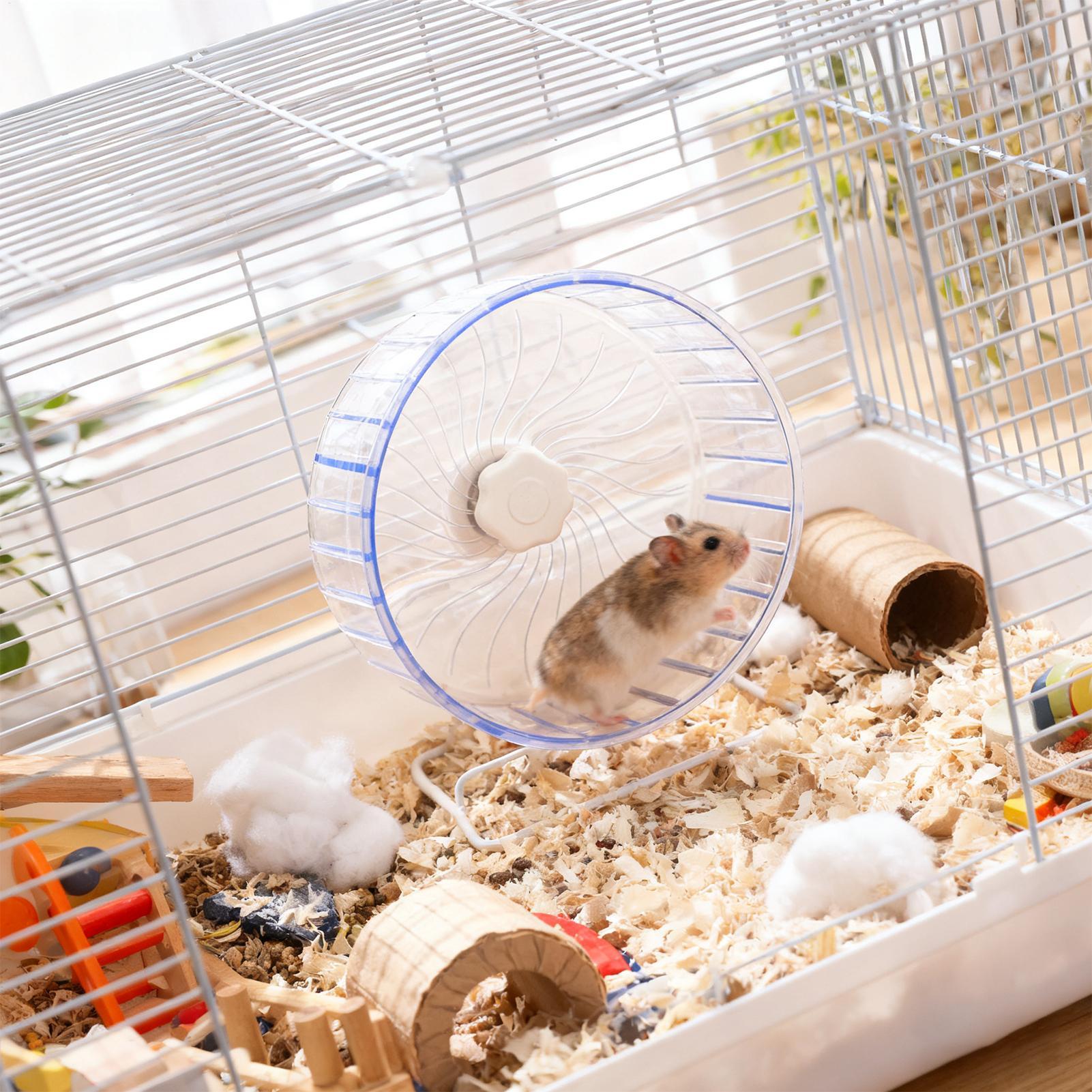 Hamster Running Sport Transpar - Hamster Cage Wheel review and price