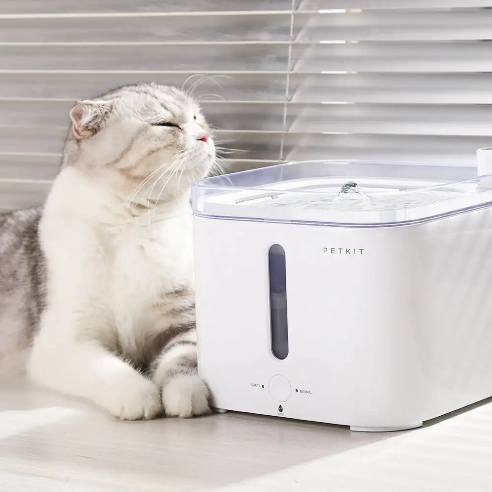 CANBOUN EVERSWEET Series Pet S - Pet Water Fountain review and price