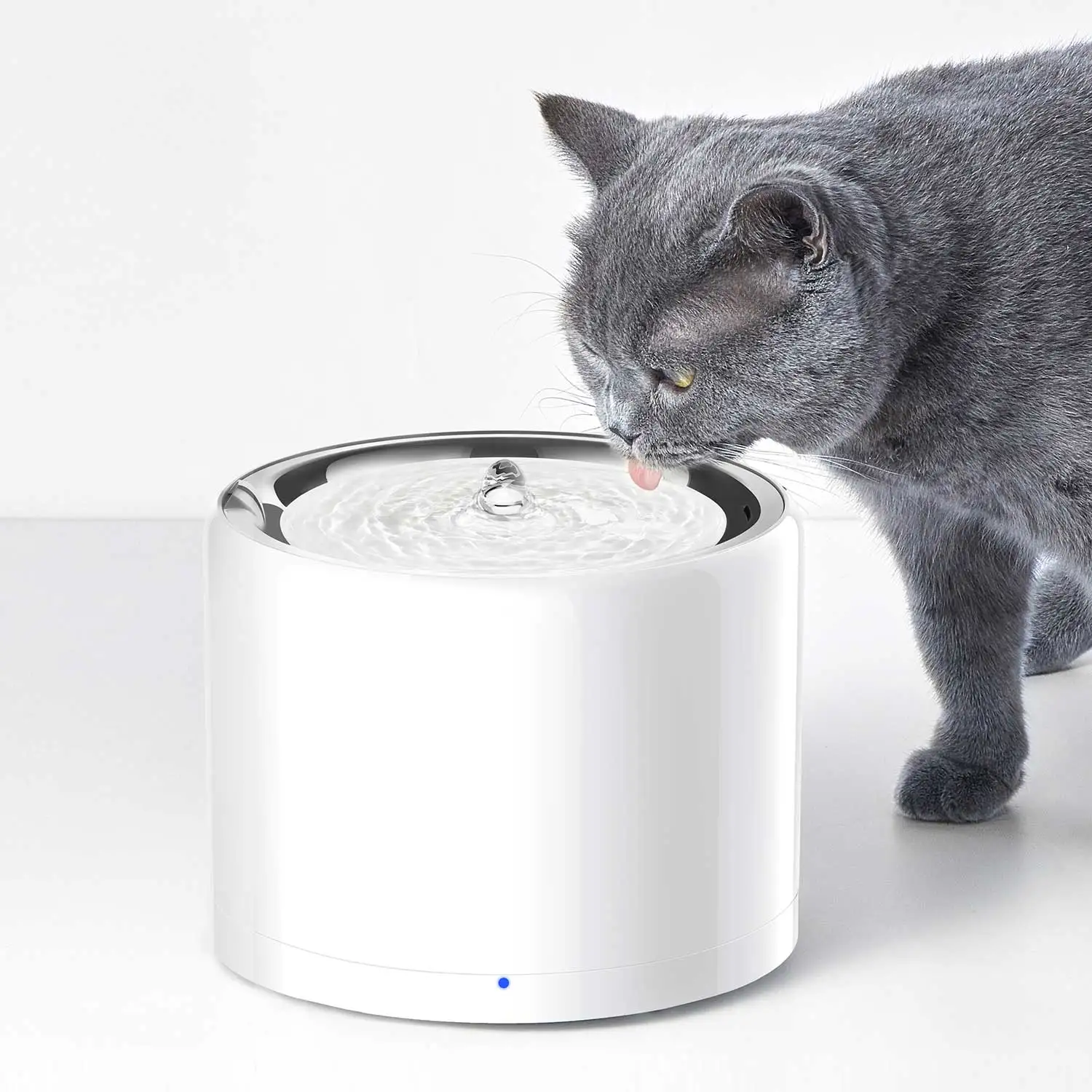 CANBOUN EVERSWEET Series Pet S - Pet Water Fountain review and price