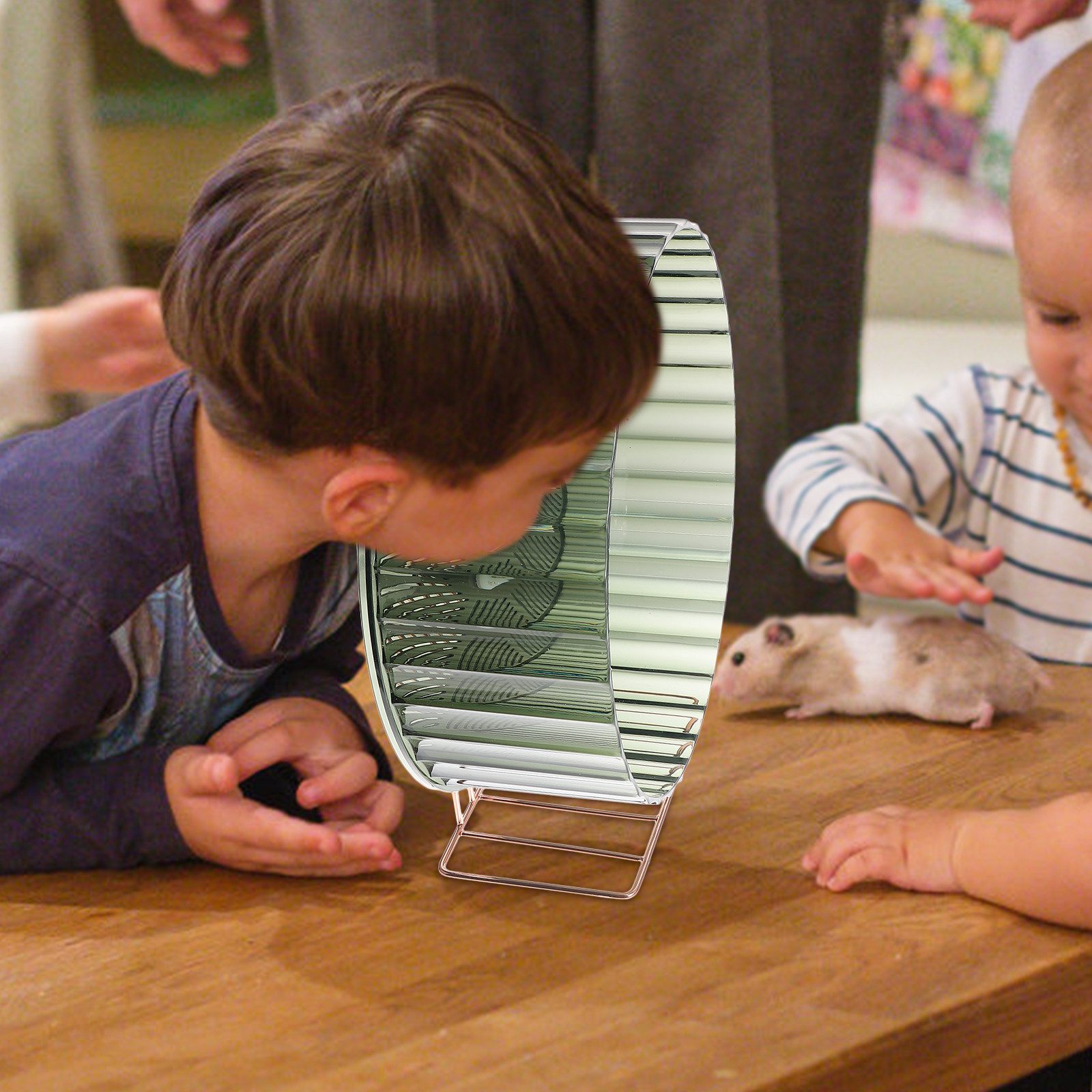 Healthy Growth Hamster Wheel E - Hamster Cage Wheel review and price