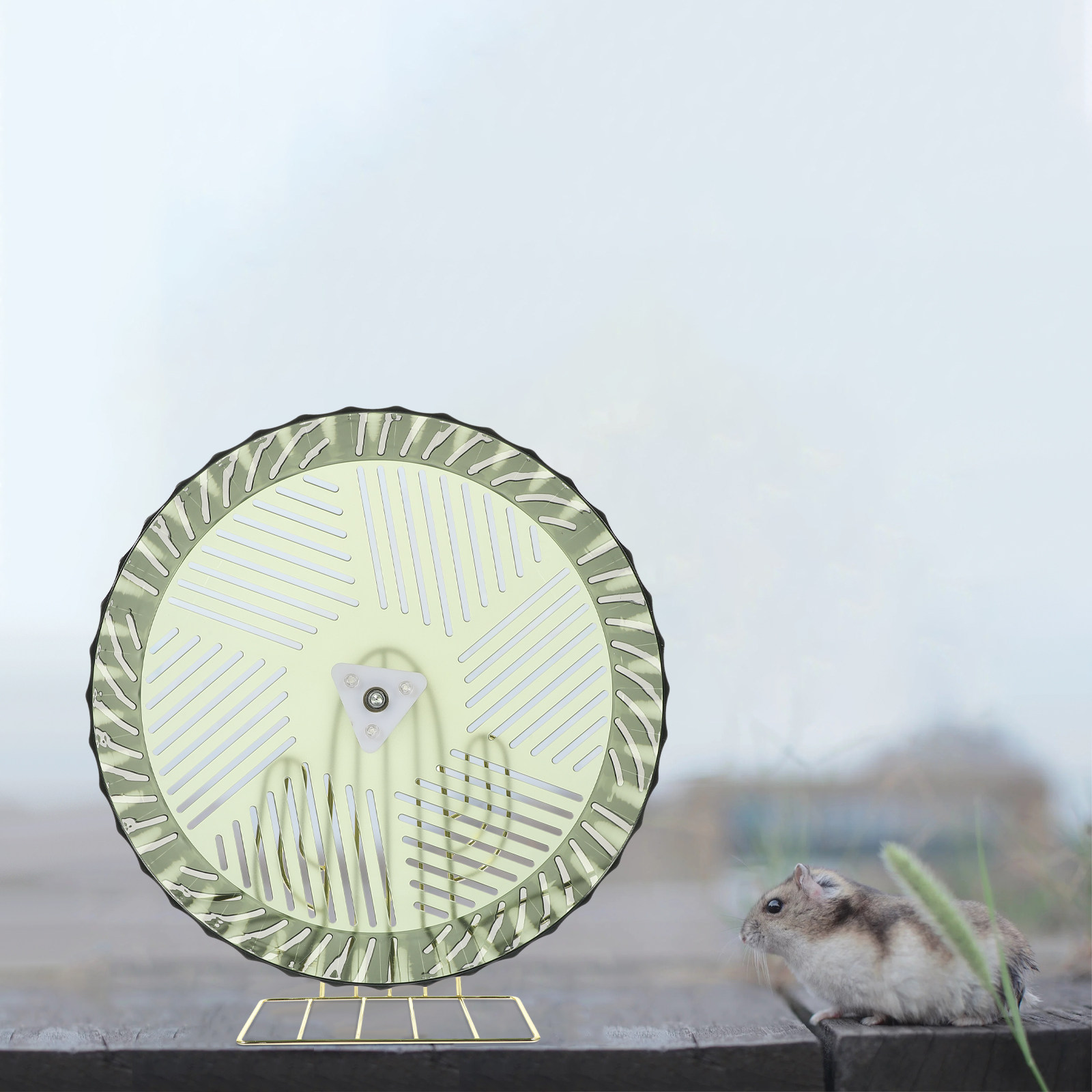 Healthy Growth Hamster Wheel E - Hamster Cage Wheel review and price