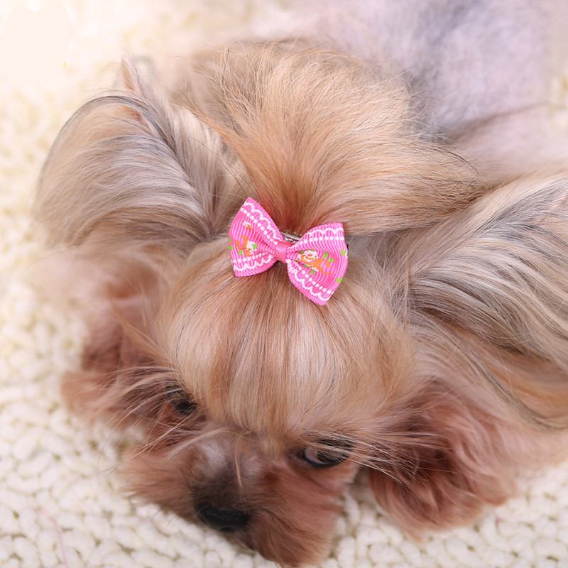 New Hairpin for Dogs Kitten Pu - Pet Supplies York review and price