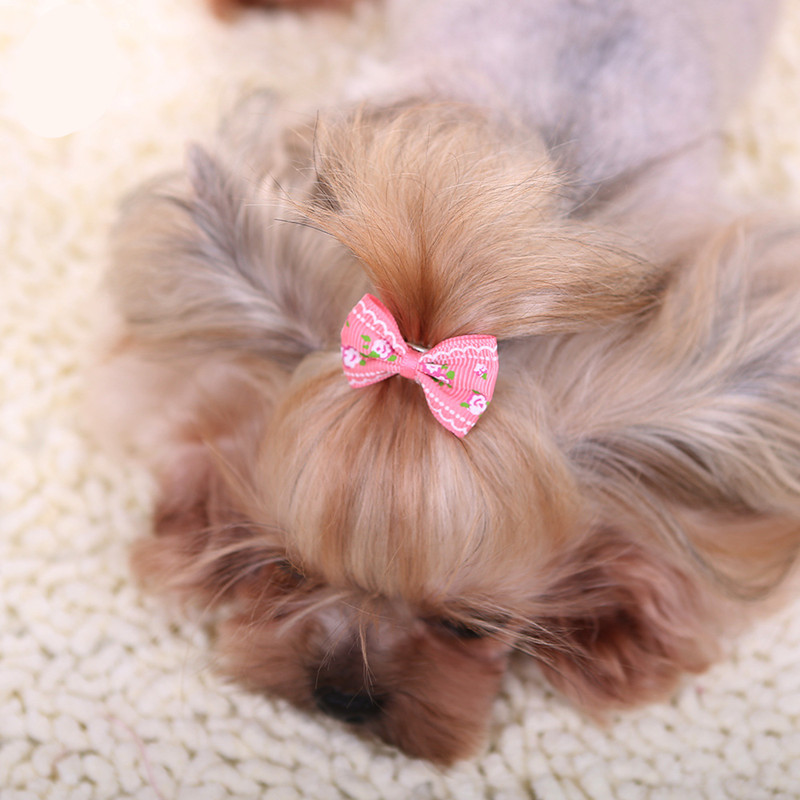 New Hairpin for Dogs Kitten Pu - Pet Supplies York review and price