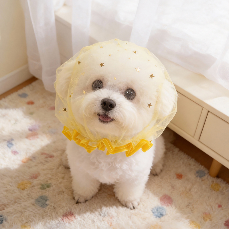 Anti Bark Summer Dog Cap Outdo - Pet Supplies York review and price