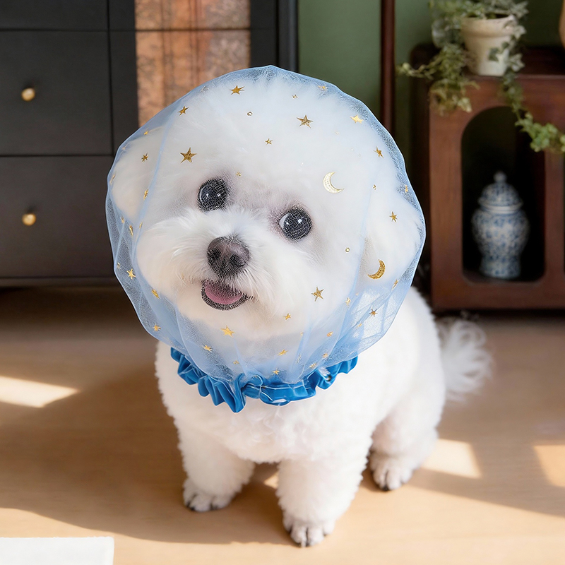 Anti Bark Summer Dog Cap Outdo - Pet Supplies York review and price