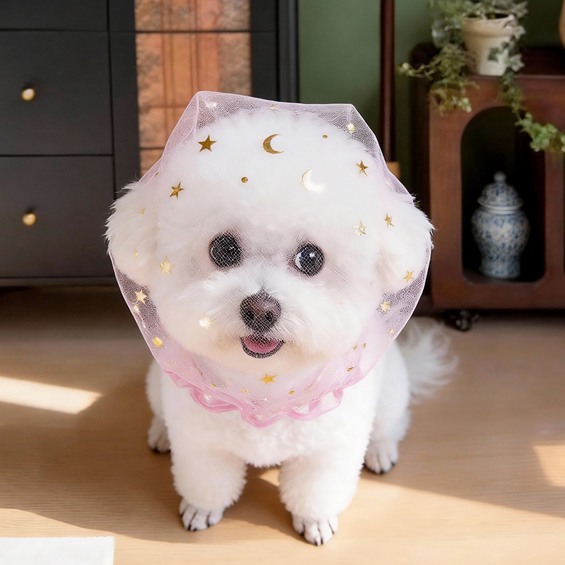 Anti Bark Summer Dog Cap Outdo - Pet Supplies York review and price