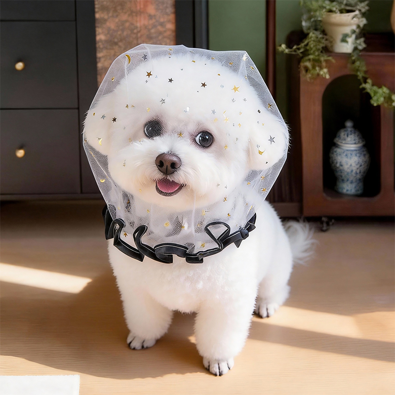 Anti Bark Summer Dog Cap Outdo - Pet Supplies York review and price
