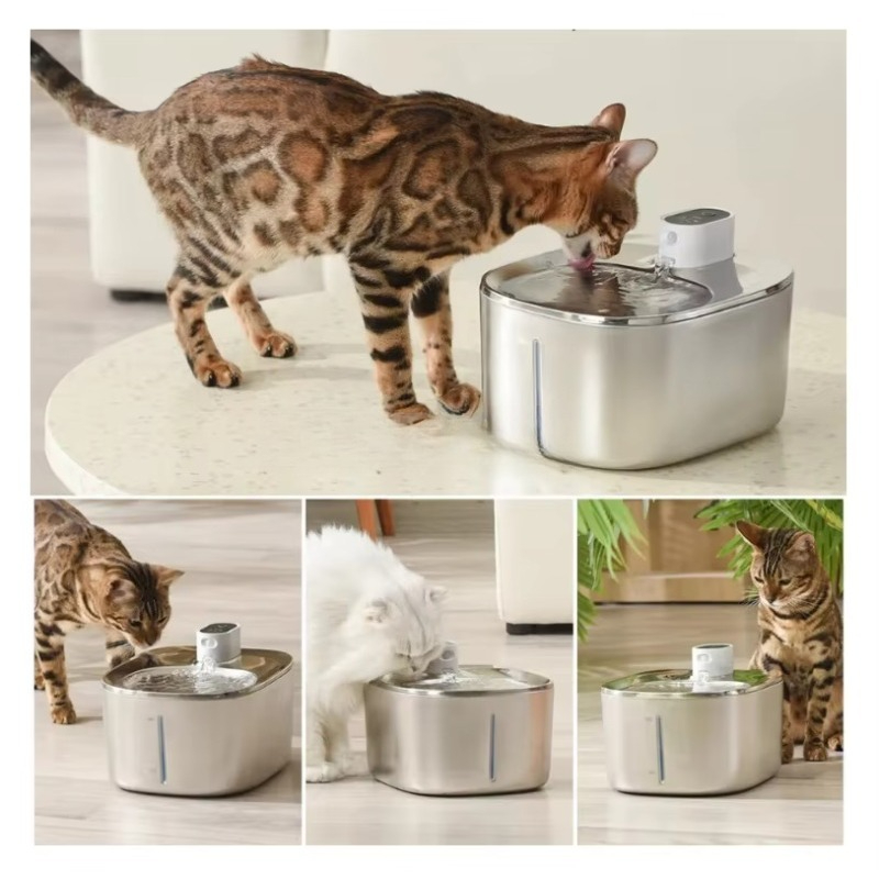Stainless Steel Pet Water Bowl - Pet Water Fountain review and price