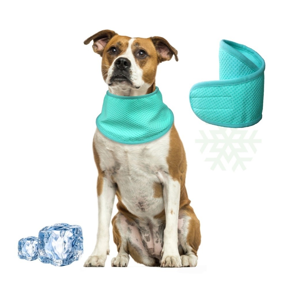 New Adjustable Dog Cooling Ban - Dog Bandana Scarf review and price