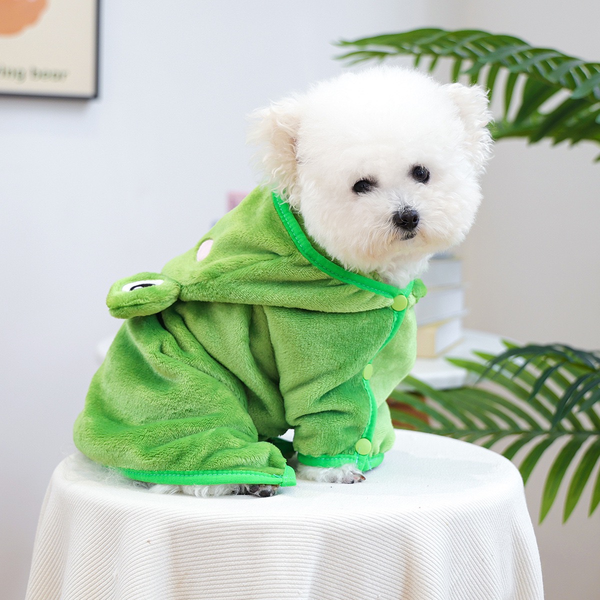 Frog Cap One Piece Dogs Cloak  - Pet Supplies York review and price