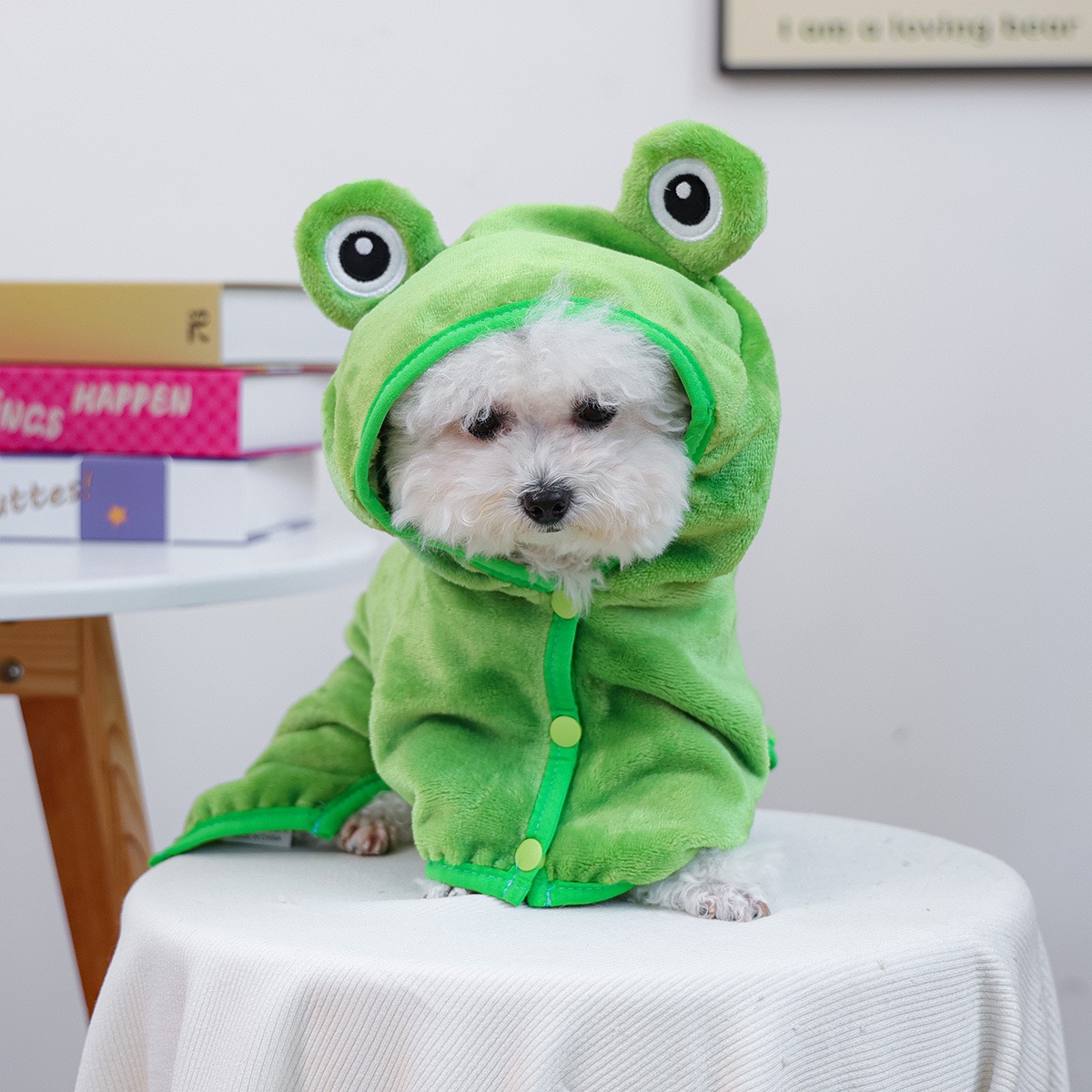Frog Cap One Piece Dogs Cloak  - Pet Supplies York review and price