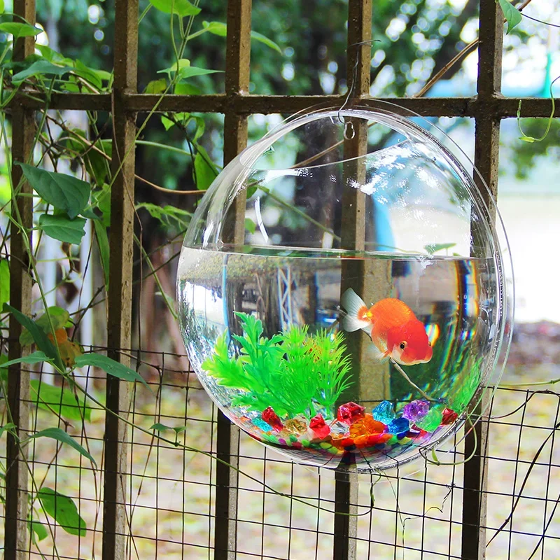 Pinsjar Acrylic Fish Bowl Wall - Pet Supplies Fish review and price