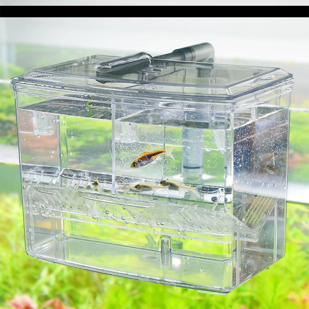 1.25L 2.5L Aquarium Fish Breed - Pet Supplies Fish review and price