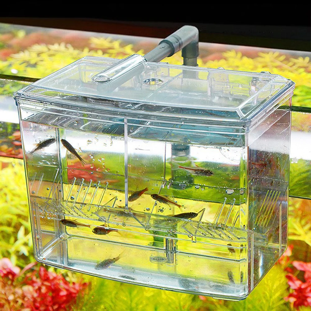 1.25L 2.5L Aquarium Fish Breed - Pet Supplies Fish review and price