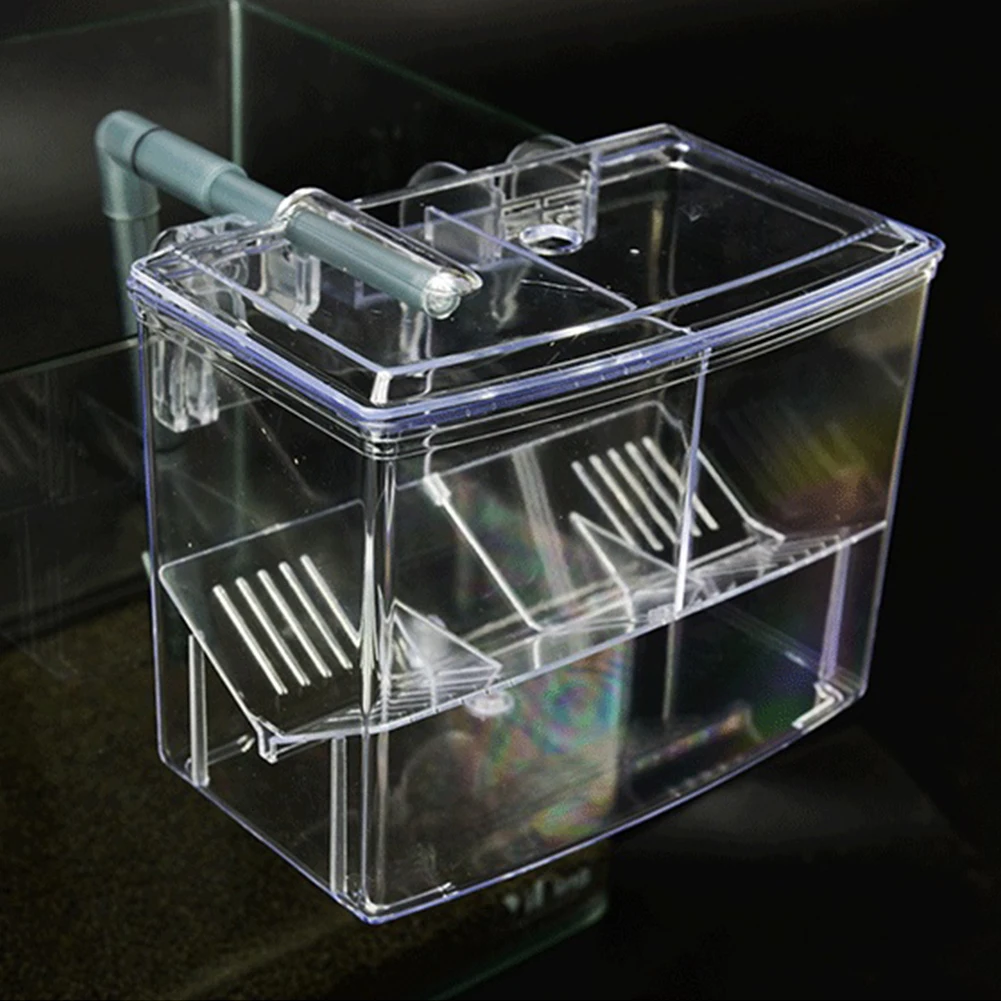 1.25L 2.5L Aquarium Fish Breed - Pet Supplies Fish review and price