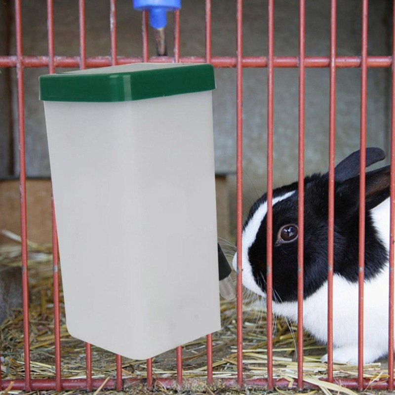 Pet Drinker Water Bottle Dispe - Pet Water Fountain review and price