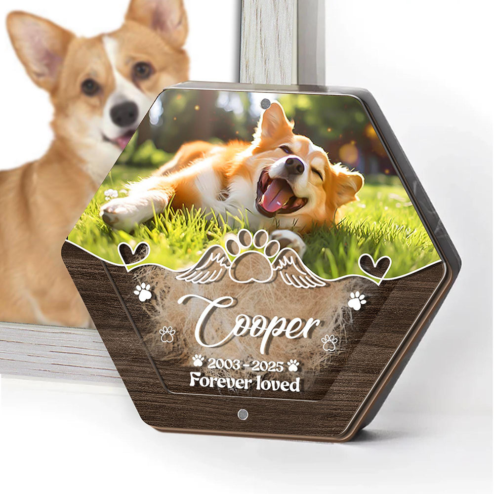 Personalized Name Wooden Carvi - Pet Supplies Store review and price