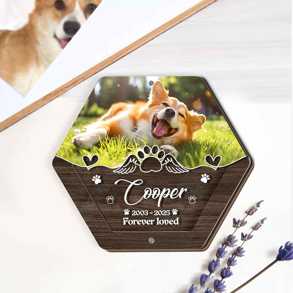 Personalized Name Wooden Carvi - Pet Supplies Store review and price