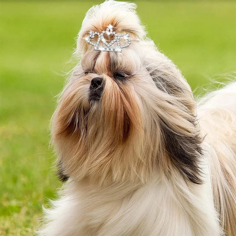 Bling Delicate Crystal Dog Hai - Pet Supplies York review and price