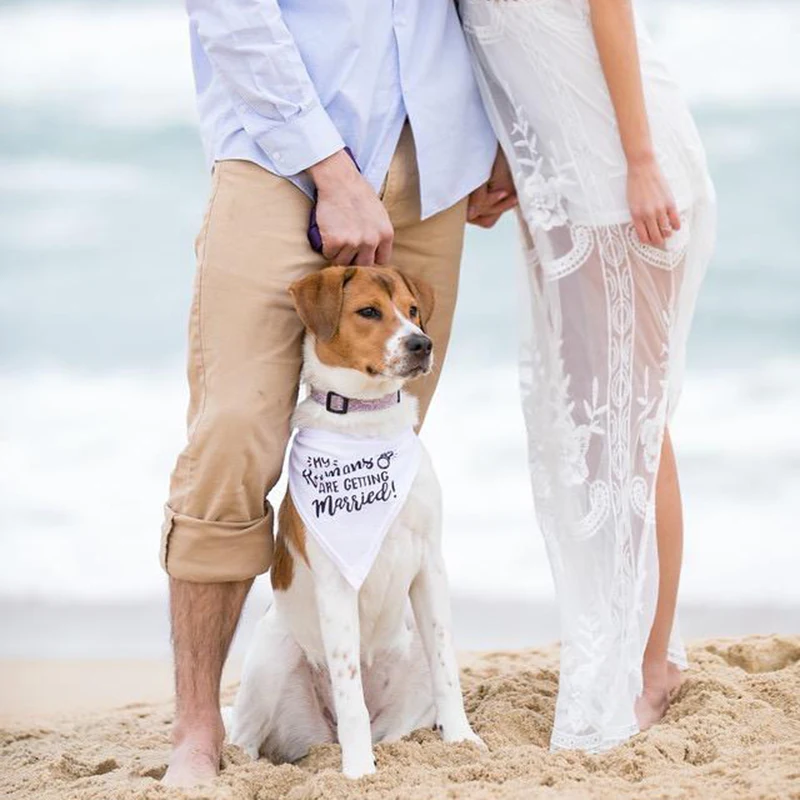 My Humans are Getting Married  - Dog Bandana Scarf review and price