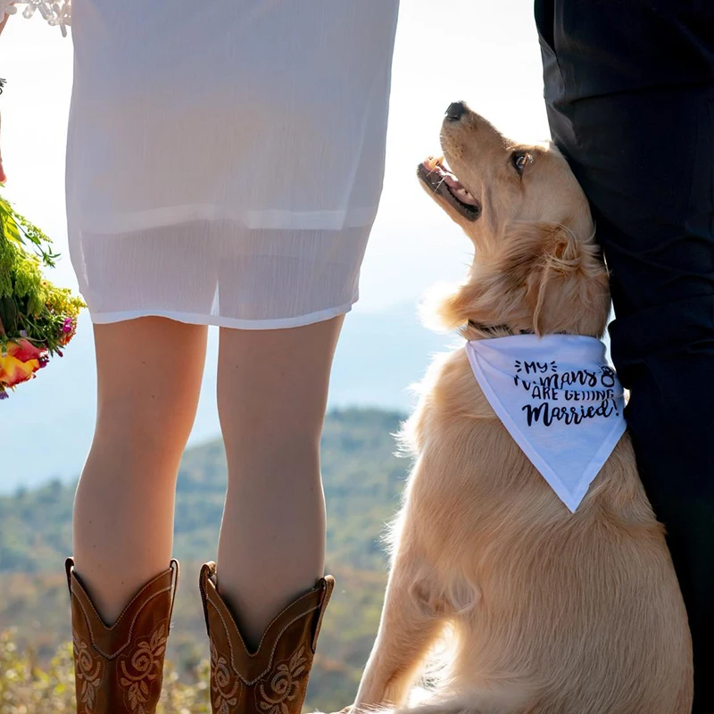 My Humans are Getting Married  - Dog Bandana Scarf review and price