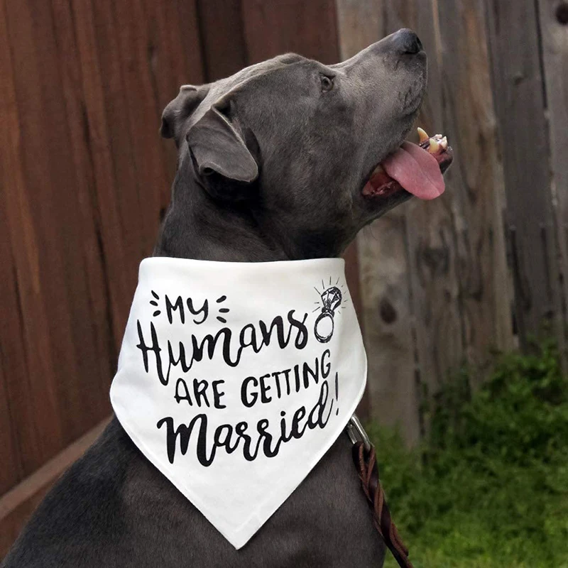 My Humans are Getting Married  - Dog Bandana Scarf review and price