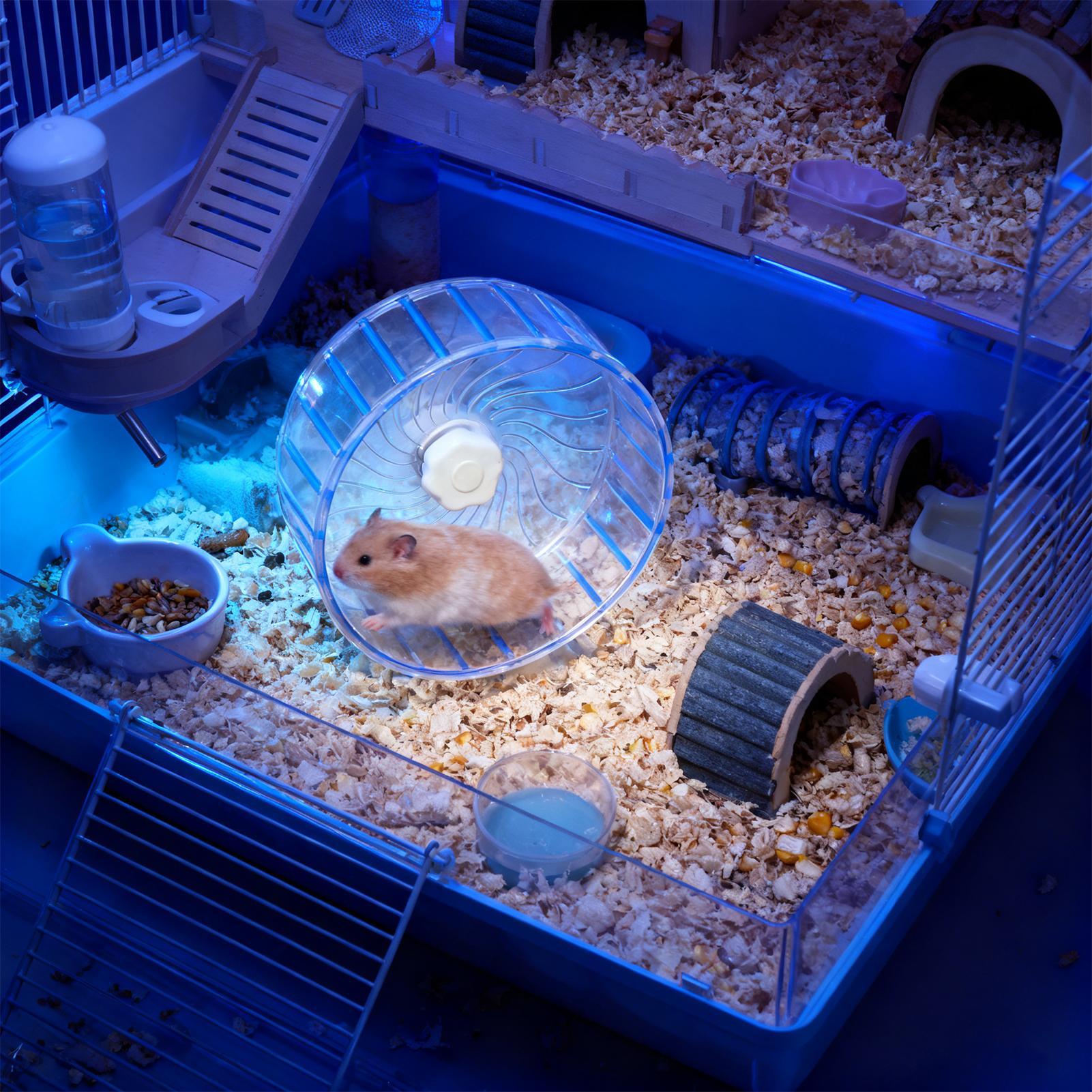 Silent Hamster Wheel Quiet Dou - Hamster Cage Wheel review and price