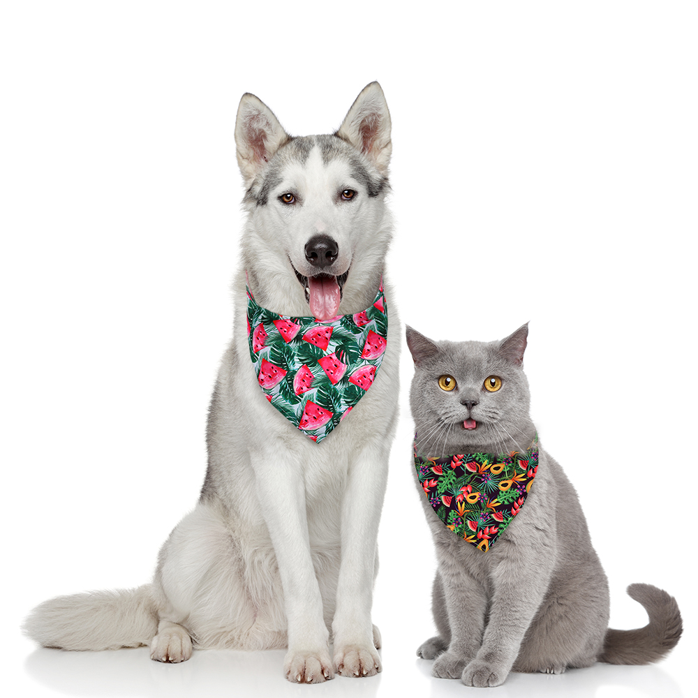 8pcs Dog Bandana Fruit Style B - Dog Bandana Scarf review and price