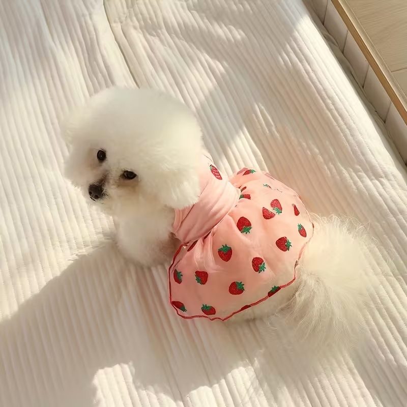 Summer Thin Puppy Princess Ski - Pet Supplies York review and price