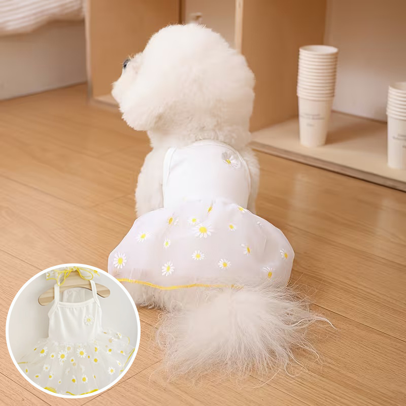 Summer Thin Puppy Princess Ski - Pet Supplies York review and price