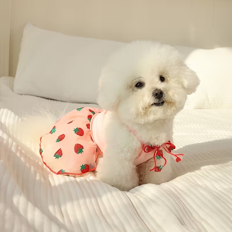 Summer Thin Puppy Princess Ski - Pet Supplies York review and price