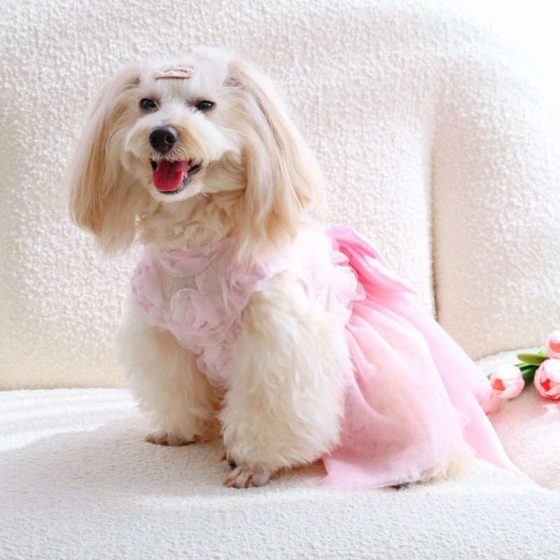 Spring Summer Thin Puppy Princ - Pet Supplies York review and price