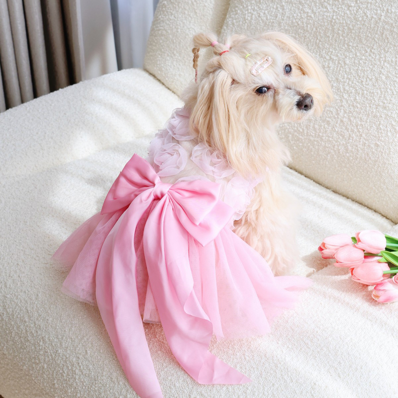 Spring Summer Thin Puppy Princ - Pet Supplies York review and price
