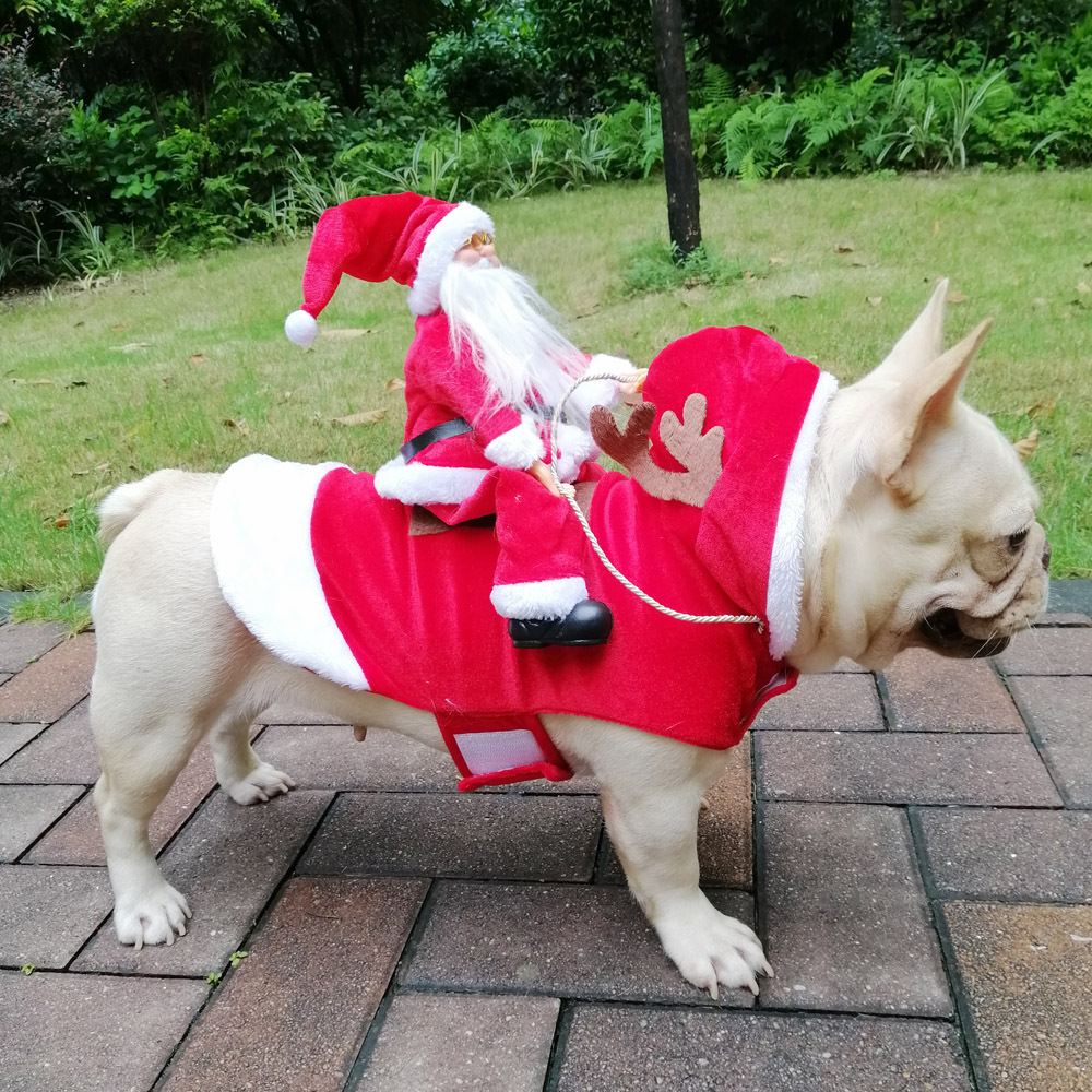 Winter Happy New Year Pet Cost - Pet Supplies York review and price