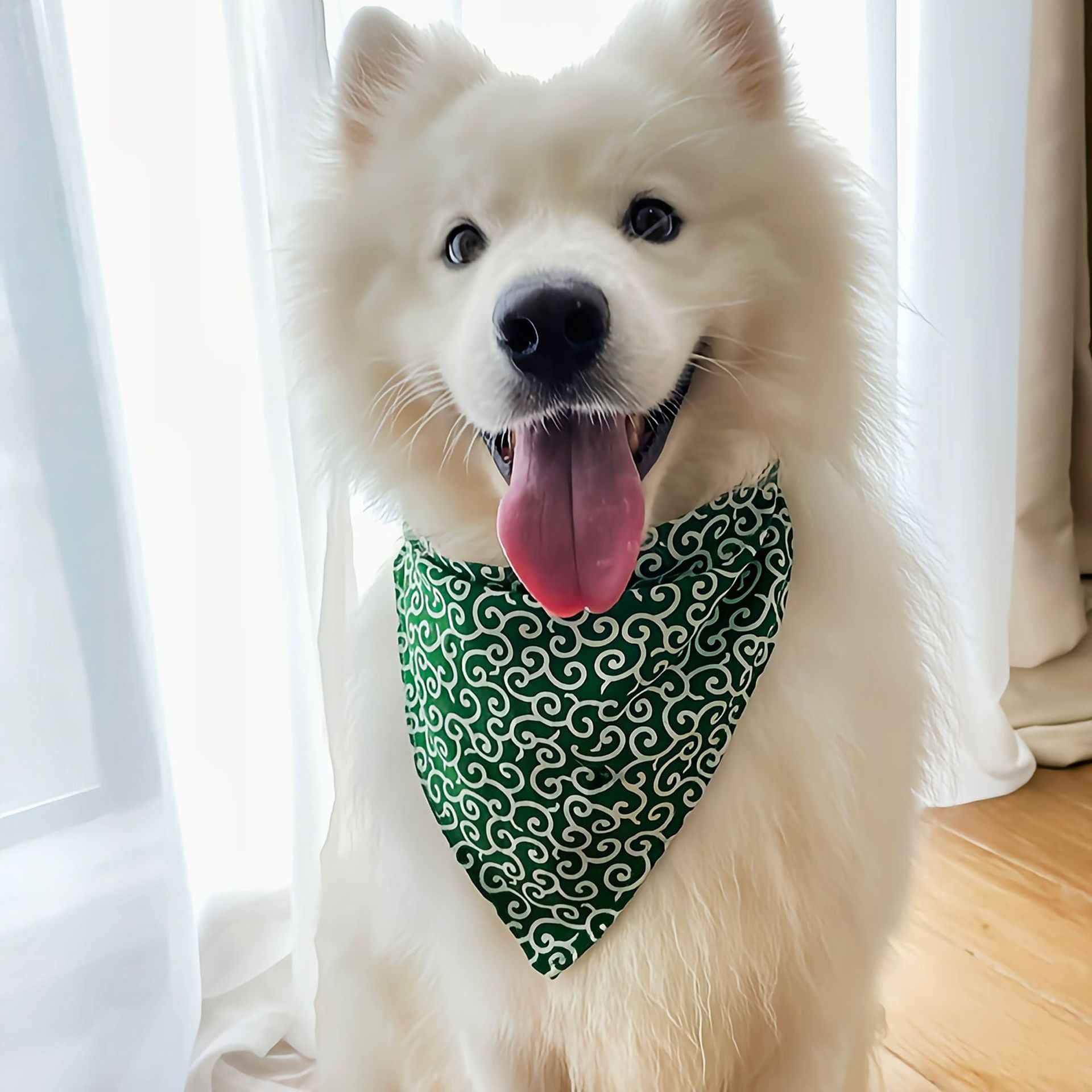 Dog Accessories NEW Pet Dog Ba - Dog Bandana Scarf review and price